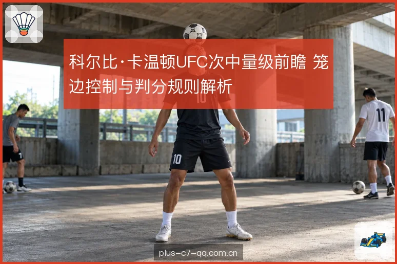 站立输出的判分权重
